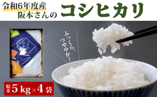 コシヒカリ 精米5kg×4袋 計20kg 令和6年産 ｜ 久万高原町 清流 米 新米 備蓄 お米 こめ コメ 愛媛 ※2024年9月中旬頃より順次発送予定 ※離島への配送不可