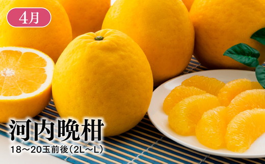 【定期便】【愛媛県共通返礼品】愛媛のかんきつ定期便（全6回）（日の丸みかん・紅まどんな・伊予柑・不知火・せとか・河内晩柑) ｜みかん 蜜柑 日の丸みかん 紅まどんな 伊予柑 不知火（デコポン） せとか 河内晩柑 柑橘 フルーツ 濃厚 甘味 甘い 愛媛みかん 国産 愛媛県産 果物 くだもの 絶品 美味しい お取り寄せ 愛媛 久万高原町 ※2025年11月下旬～2026年4月下旬頃に毎月1回発送