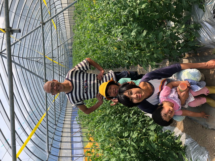 トマト 加工 食品「トマト農家のドライトマト 150g」｜野菜 ドライトマト 農家直送 家庭用 愛媛 久万高原町