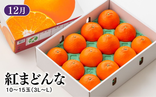【定期便】【愛媛県共通返礼品】愛媛のかんきつ定期便（全6回）（日の丸みかん・紅まどんな・伊予柑・不知火・せとか・河内晩柑) ｜みかん 蜜柑 日の丸みかん 紅まどんな 伊予柑 不知火（デコポン） せとか 河内晩柑 柑橘 フルーツ 濃厚 甘味 甘い 愛媛みかん 国産 愛媛県産 果物 くだもの 絶品 美味しい お取り寄せ 愛媛 久万高原町 ※2025年11月下旬～2026年4月下旬頃に毎月1回発送
