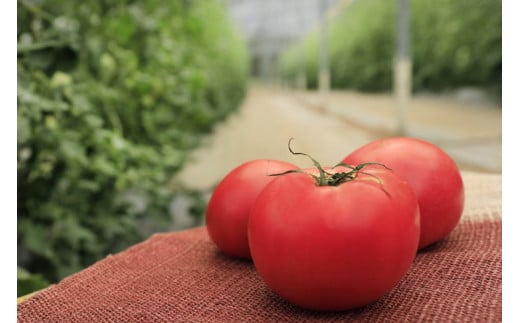 ããã å å·¥ ãžã¥ãŒã¹ãèµ€ã®å
æ°ïŒ12æ¬ã»ããïŒâ»å€ç©«ãèµ€ã©ãã«6æ¬ïŒç§ç©«ãçœã©ãã«6æ¬ãïœæé£ éè ããªã³ã¯ ç¡æ·»å å¥åº· ã®ãã èŽççš æ¯æ¥ å®¶åºçšãå®¶æ æåª ä¹
äžé«åçº â»é¢å³¶ãžã®é
éäžå¯