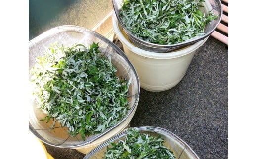 ともぞう餅【つぶあん15個】5個入３パック 白餅 よもぎ餅 選べるセット｜愛媛県 久万高原町 手作り 餅 もち つぶあん よもぎ スイーツ 和菓子 正月 雑煮 ぜんざい きな粉餅 昔ながらの味