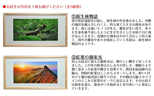 写真フレーム【久万材フレーム入り風景写真 842mm×442mm】｜ 絵画 久万 石鎚 風景 景色 アート作品 額縁 手作り 木工 ヒノキ 手仕事　※離島への配送不可