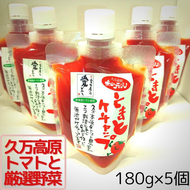 赤の元気「トマトケチャップ」5個セット 無添加◆｜完熟トマト 詰め合わせ 個包装 トマト とまと ケチャップ トマトケチャップ アレンジ アレンジ料理 万能 保存料不使用 完熟トマト 完熟 料理 調味料 濃い 多用途 おすすめ 人気 美味しい 万能調味料 ベジタブル 濃厚 野菜 ソース パスタ 無添加 愛媛 久万高原町 赤の元気 ※着日指定不可