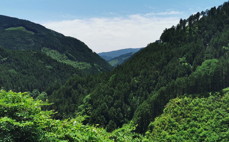 åªã£ãå°é¶ ããçŒãçšã»ããïŒ3ïœ4人åïŒïœ å²äž é¶æ²¹ ã¢ã¢ ã ã æåªç ä¹
äžé«åçº ä¹
äžå±±é€é¶ç ç©¶æ å°é¶ é¶è è 飿 æšã¿ ãã«ã·ãŒ å颚 é ããçŒã é¶ãã ãåãå¯ã ã°ã«ã¡ åœç£ å·èµ â»åæµ·éã»æ²çžã»é¢å³¶ãžã®é
éäžå¯