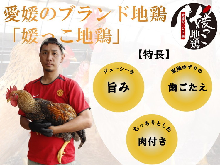 媛っこ地鶏 水炊き用セット（3～4人前）｜ モモ ムネ 手羽先 手羽元 特製スープ 愛媛県 久万高原町 久万山養鶏研究所 地鶏 鶏肉 肉 食感 旨み ヘルシー 和風 鍋 水炊き コラーゲン お取り寄せ グルメ 国産 冷蔵 ※北海道・沖縄・離島への配送不可