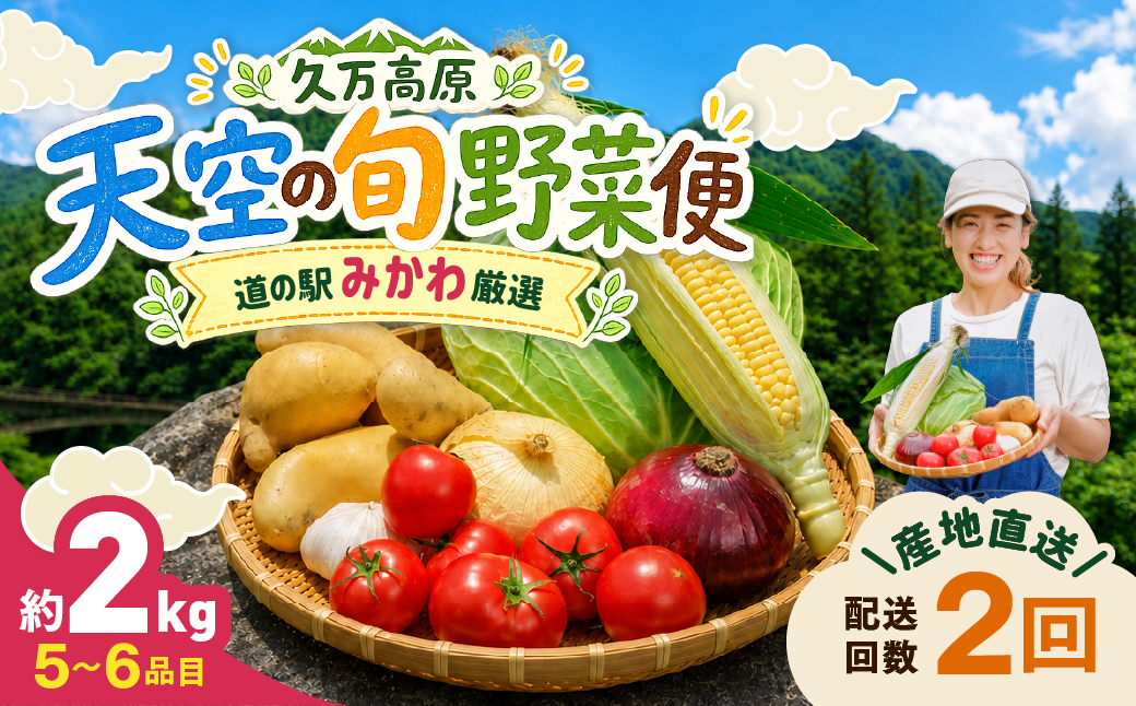 【定期便2回】久万高原 天空の旬野菜便2kg【道の駅みかわ厳選】 | 野菜詰め合わせ 5～6品目 新鮮野菜 定期便 愛媛県産 産地直送