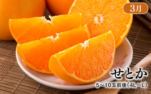 【定期便】【愛媛県共通返礼品】愛媛のかんきつ定期便（全6回）（日の丸みかん・紅まどんな・伊予柑・不知火・せとか・河内晩柑) ｜みかん 蜜柑 日の丸みかん 紅まどんな 伊予柑 不知火（デコポン） せとか 河内晩柑 柑橘 フルーツ 濃厚 甘味 甘い 愛媛みかん 国産 愛媛県産 果物 くだもの 絶品 美味しい お取り寄せ 愛媛 久万高原町 ※2025年11月下旬～2026年4月下旬頃に毎月1回発送