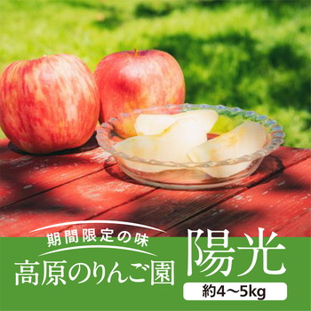 愛媛県久万高原町産「陽光りんご」約4～5kg ※2023年10月上旬頃～11月上旬頃に順次発送予定
