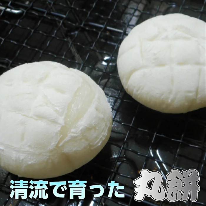 丸餅約1kg(24個)1個約40g～45g【無添加】【つき餅】お祝い お供え 自宅用 ※着日指定不可 ※離島への配送不可