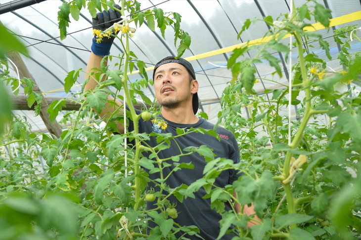 èµ€ã®å
æ°ããããã±ãã£ããã5åã»ãã ç¡æ·»å âïœå®çããã è©°ãåãã åå
è£
ããã ãšãŸãš ã±ãã£ãã ãããã±ãã£ãã ã¢ã¬ã³ãž ã¢ã¬ã³ãžæç äžèœ ä¿åæäžäœ¿çš å®çããã å®ç æç èª¿å³æ æ¿ã å€çšé ãããã äººæ° çŸå³ãã äžèœèª¿å³æ ããžã¿ãã« æ¿å éè ãœãŒã¹ ãã¹ã¿ ç¡æ·»å æåª ä¹
äžé«åçº èµ€ã®å
æ° â»çæ¥æå®äžå¯