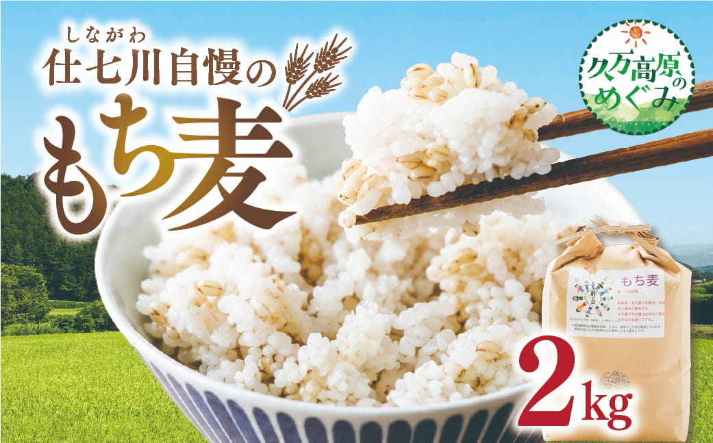 【先行予約】久万高原町 仕七川自慢 もち麦 2kg ｜ 雑穀 健康志向 腸活 食物繊維 ダイエット お取り寄せ 自然 愛媛県 仕七川地区の清流 ※2026年7月中旬頃より順次発送予定