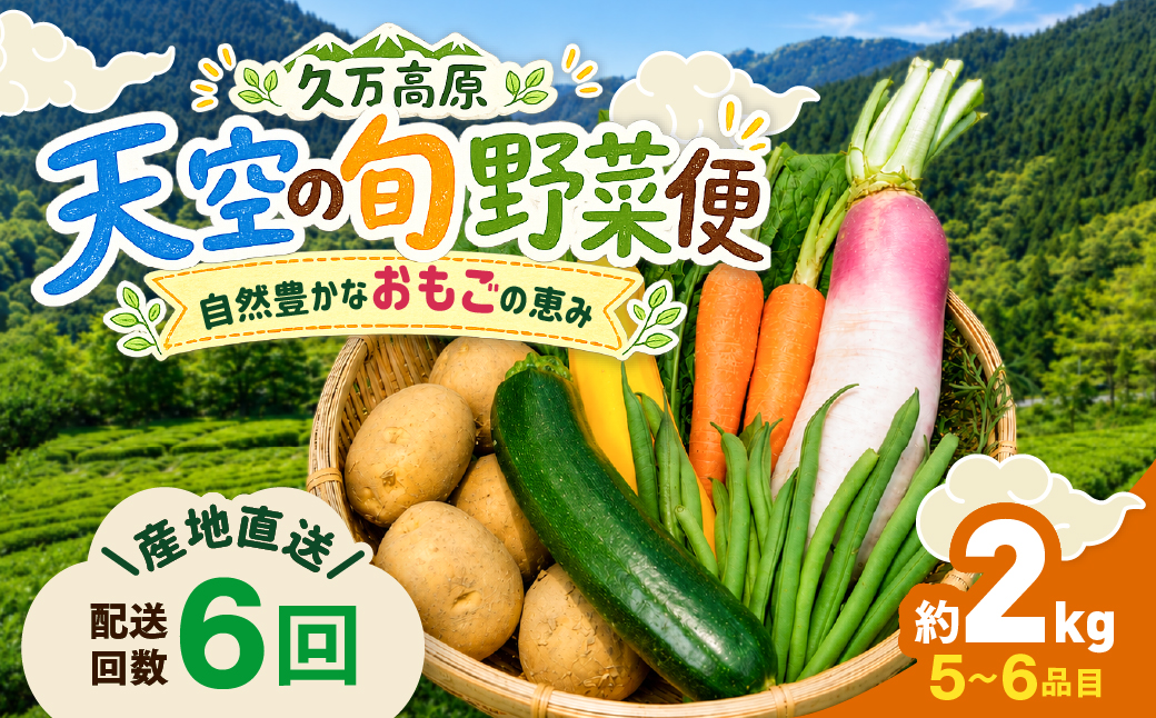 【定期便6回】久万高原 天空の旬野菜便2kg【面河特産品開発センター厳選】｜野菜詰め合わせ 5〜6品目 新鮮野菜 定期便 愛媛県産 産地直送