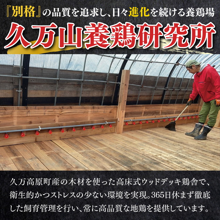 媛っこ地鶏 水炊き用セット（3～4人前）｜ モモ ムネ 手羽先 手羽元 特製スープ 愛媛県 久万高原町 久万山養鶏研究所 地鶏 鶏肉 肉 食感 旨み ヘルシー 和風 鍋 水炊き コラーゲン お取り寄せ グルメ 国産 冷蔵 ※北海道・沖縄・離島への配送不可