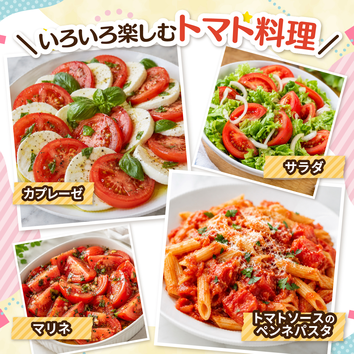 【家庭用】 高原トマト 3kg ｜愛媛県久万高原町産 特別栽培 産地直送 旬 夏野菜 甘み 旨み 新鮮 採れたて ※2026年7月～発送