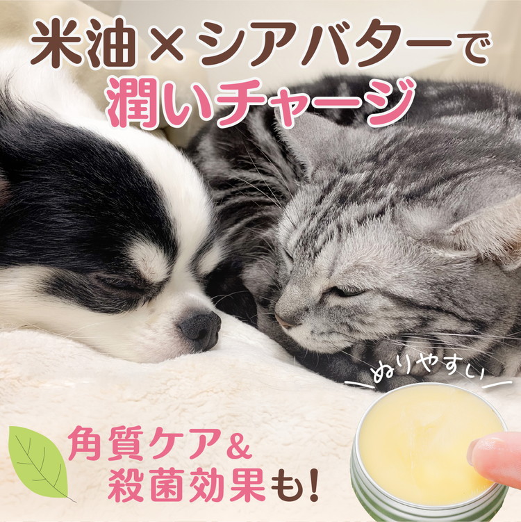 ネコの肉球ケアクリーム 30g（犬にも使える）｜猫 ネコ キャット ペット ペット用品 ペットケア ケア用品 愛猫 愛猫家 メンテナンス ケアグッズ メンテナンスグッズ お手入れ 飼育 クロモジ 米油 シアバター 安心 蜂蜜成分 潤い 栄養 角質保護 殺菌作用 天然成分100% 肉球 猫専用 ネコ専用 ペットギフト 人気 プレゼント ギフト 革工房ワンループ 愛媛 久万高原町※離島への配送不可 ※着日指定不可