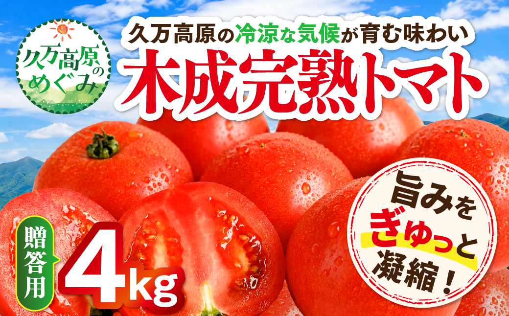 【贈答用】木成り完熟トマト 4kg｜愛媛県久万高原町産 特別栽培 産地直送 旬 夏野菜 甘み 旨み 完熟トマト 新鮮 採れたて ※2026年7月～発送