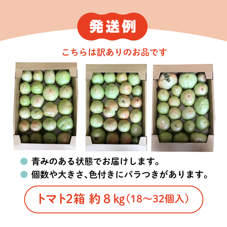 【贈答用】石墨清流 トマト 4kg｜糖度9～11度 そのままでも 美味しい 久万高原町 トマト とまと 自然栽培 野菜 カレー トマトソース 濃縮 ヒナタ 安心 酸味 甘味 清流 料理 農家 旨み サンドイッチ 新鮮 煮込み 料理 アレンジ 美味しい 手作業 人気 ギフト プレゼント 自然 小長谷勝也 愛媛 ※離島への配送不可 ※2026年7月下旬頃より順次発送予定
