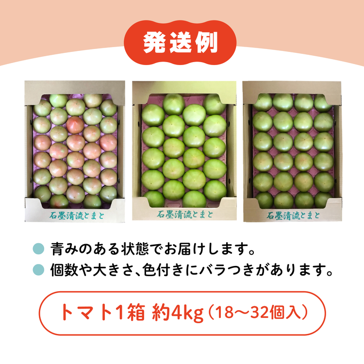 訳あり トマト 8kg そのままでも 美味しい 【石墨清流トマト】糖度9～11度 久万高原町 トマトソース ｜ トマト とまと 自然栽培 野菜 カレー 濃縮 安心 酸味 甘味 清流 料理 農家 旨み ※離島への配送不可 ※2025年7月下旬頃より順次発送予定