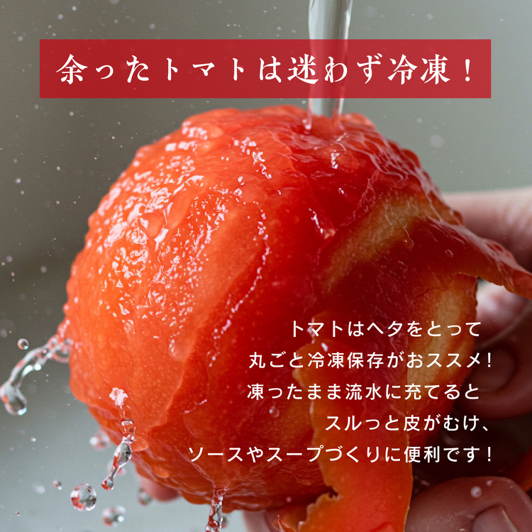 訳あり トマト 8kg そのままでも 美味しい 【石墨清流トマト】糖度9～11度 久万高原町 トマトソース ｜ トマト とまと 自然栽培 野菜 カレー 濃縮 安心 酸味 甘味 清流 料理 農家 旨み ※離島への配送不可 ※2025年7月下旬頃より順次発送予定