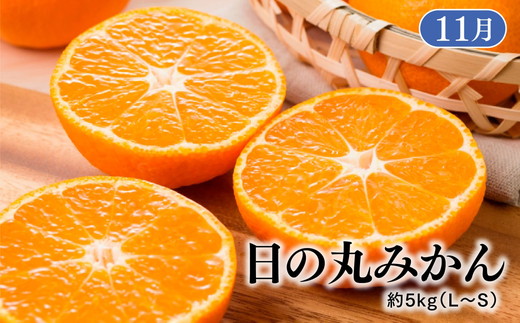 【定期便】【愛媛県共通返礼品】愛媛のかんきつ定期便（全6回）（日の丸みかん・紅まどんな・伊予柑・不知火・せとか・河内晩柑) ｜みかん 蜜柑 日の丸みかん 紅まどんな 伊予柑 不知火（デコポン） せとか 河内晩柑 柑橘 フルーツ 濃厚 甘味 甘い 愛媛みかん 国産 愛媛県産 果物 くだもの 絶品 美味しい お取り寄せ 愛媛 久万高原町 ※2025年11月下旬～2026年4月下旬頃に毎月1回発送