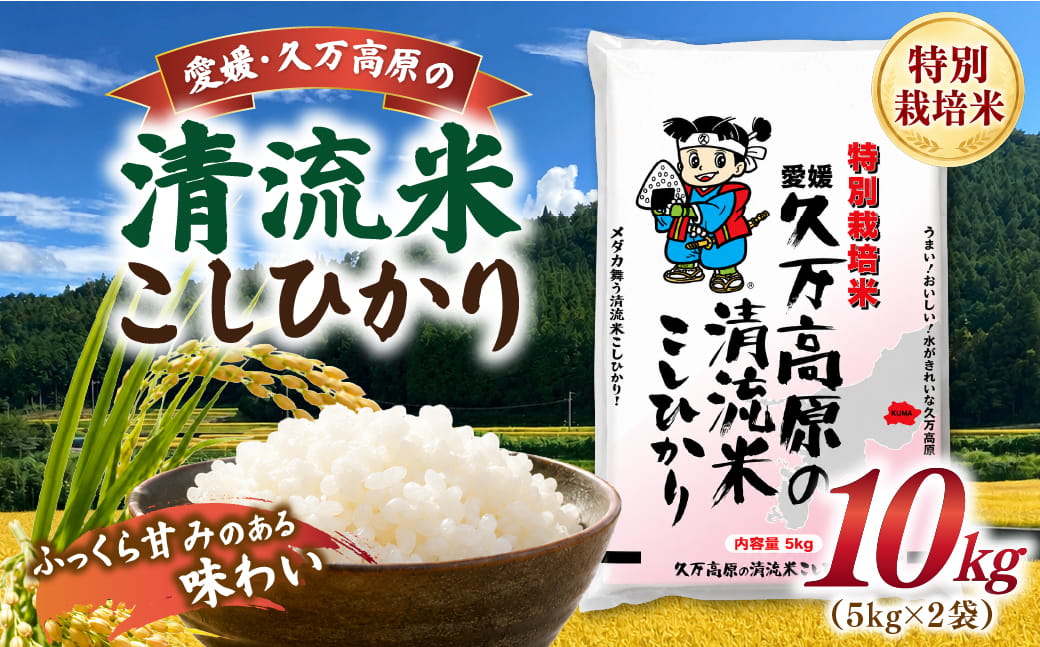 【R8年産】新米 久万高原町 清流米 こしひかり 10kg｜特別栽培米 減農薬 減化学肥料 コシヒカリ 白米 愛媛県産 米 ※2026年9月～発送