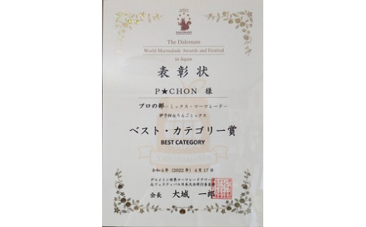 ããŒãã¬ãŒãïŒãžã£ã è©°åã ïŒç¶ ã»ãã