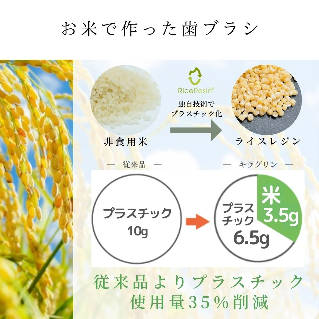 縺顔アウ縺ァ縺ァ縺阪◆豁ッ繝悶Λ繧キ縲後く繝ゥ繧ー繝ェ繝ウ縲搾シ楢牡12譛ャ繧サ繝繝