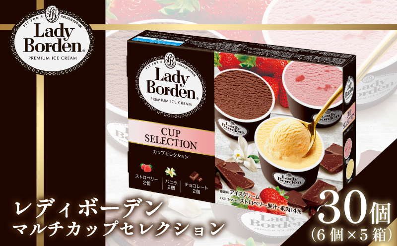 ロッテ レディーボーデン マルチ カップ セレクション ｜ レディーボーデン アイス セット 詰め合わせ バニラ チョコレート ストロベリー アイスクリーム 愛媛県 松前町 松前町おすすめ