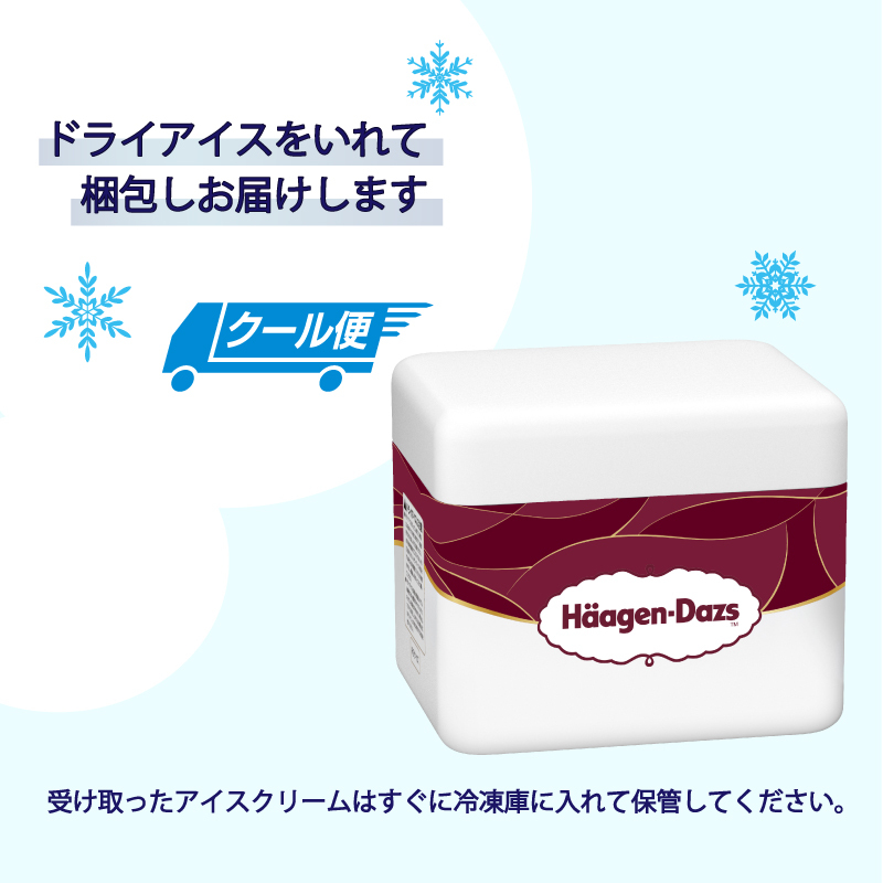 定番フレーバー ハーゲンダッツ バー セット 20本入 バニラチョコレートマカデミア ｜ ハーゲンダッツ アイスクリーム ギフト セット 詰め合わせ バニラチョコレートマカデミア 愛媛県 松前町