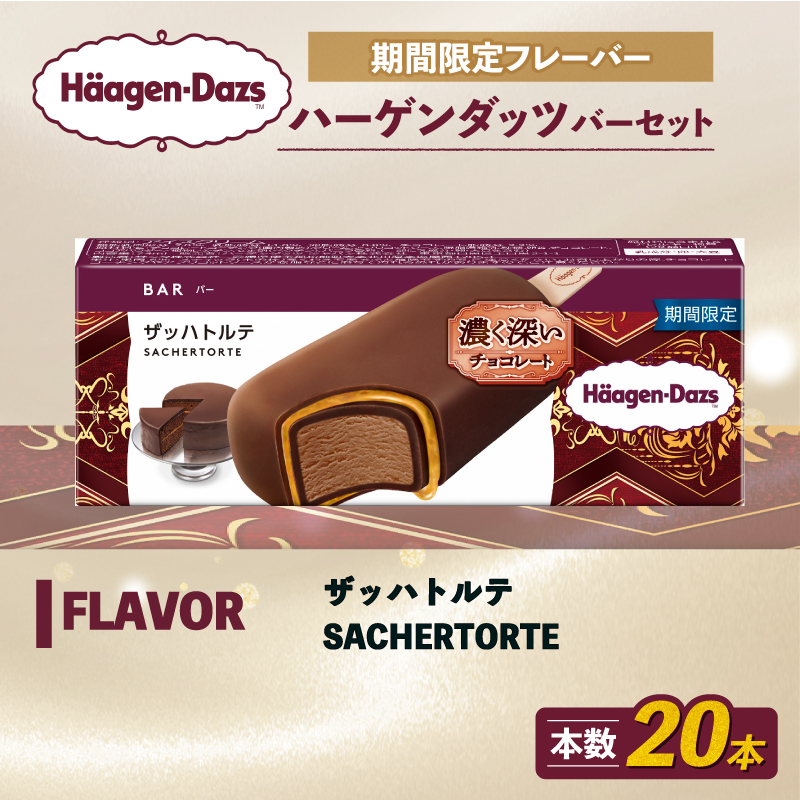 期間限定フレーバー ハーゲンダッツ バー セット 20本入 ザッハトルテ ｜ ハーゲンダッツ アイスクリーム ギフト セット 詰め合わせ ザッハトルテ 愛媛県 松前町