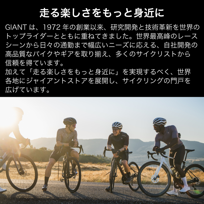 【フレームのみ】GIANT TCR ADVANCED SL FRAMESET（カラー：Atmosphere）｜  ジャイアント ロードバイク 自転車 レース カーボン 東レ