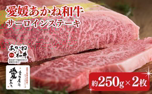 【昭和50年創業】愛媛あかね和牛サーロインステーキ（約250ｇ×2枚） | 国産 和牛 牛肉 ブランド牛 ステーキ 焼肉 冷蔵 愛媛県 松前町 BBQ バーベキュー