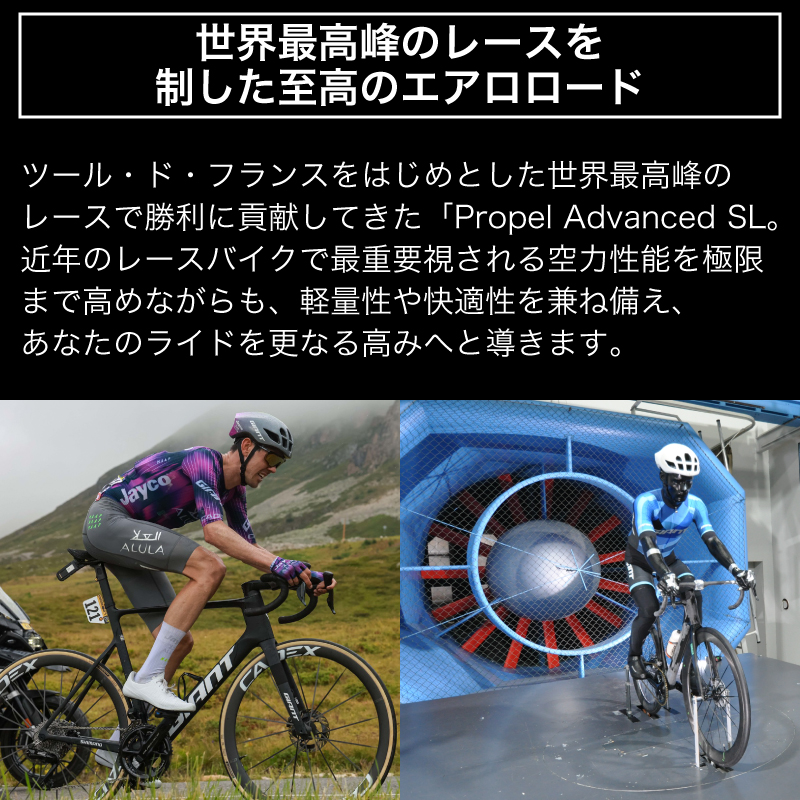 【フレームのみ】GIANT PROPEL ADVANCED SL FRAMESET（カラー：Holy Flare）｜  ジャイアント ロードバイク 自転車 レース カーボン 東レ