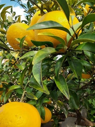 謇倶ス懊j邊セ豐ケ謚ス蜃コ菴馴ィ 繧ィ繝繧サ繝ウ繧キ繝」繝ォ繧ェ繧、繝ォ 邊セ豐ケ 縺帙>繧 邊セ豐ケ 邊セ豐ケ 縺帙>繧 繧サ繧、繝ヲ 邊セ豐ケ 邊セ豐ケ 繧サ繧、繝ヲ 邊セ豐ケ 縺帙>繧 繧サ繧、繝ヲ 邊セ豐ケ 縺帙>繧 邊セ豐ケ 邊セ豐ケ 縺帙>繧 繧サ繧、繝ヲ 邊セ豐ケ 邊セ豐ケ 繧サ繧、繝ヲ 邊セ豐ケ 縺帙>繧 邊セ豐ケ 邊セ豐ケ 縺帙>繧 繧サ繧、繝ヲ 邊セ豐ケ 縺帙>繧 繧サ繧、繝ヲ 邊セ豐ケ 邊セ豐ケ 繧サ繧、繝ヲ 邊セ豐ケ 縺帙>繧 邊セ豐ケ 邊セ豐ケ 縺帙>繧 繧サ繧、繝ヲ 邊セ豐ケ 邊セ豐ケ 縺帙>繧 邊セ豐ケ 邊セ豐ケ 縺帙>繧 繧サ繧、繝ヲ 邊セ豐ケ 邊セ豐ケ 繧サ繧、繝ヲ 邊セ豐ケ 邊セ豐ケ