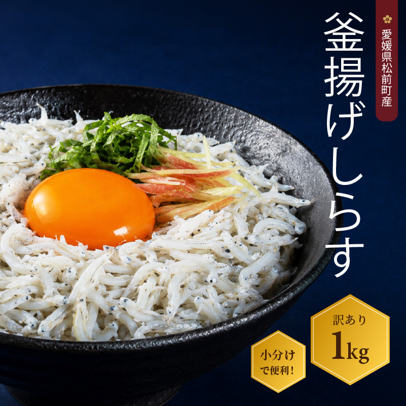 しらす 1kg  訳あり 釜揚げ  |  訳ありしらす 不揃いシラス 国産しらす 冷凍シラス 釜揚げしらす シラス丼 海の幸 愛媛県産シラス しらす シラス 釜揚げしらす 惣菜 弁当 簡単調理 ごはんのお供 加工品 海の幸 しらす丼 グルメ 食品 魚介 小魚 魚 鮮魚 海鮮 シラス 卵 たまご 訳あり商品 愛媛県 松前町