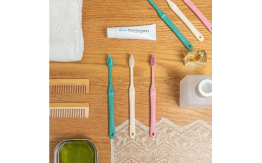 縺顔アウ縺ァ縺ァ縺阪◆豁ッ繝悶Λ繧キ縲後く繝ゥ繧ー繝ェ繝ウ縲搾シ楢牡12譛ャ繧サ繝繝