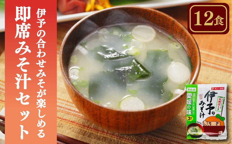 愛媛・伊予の合わせみそが楽しめる即席みそ汁セット （12食入り）| 即席 レトルト 味噌 味噌汁 みそ汁 簡単 便利 具だくさん 食べ比べ 父の日 一人暮らし 減塩 低塩 麦みそ 国産 大麦 大豆 味噌 みそ 粒みそ 調味料 麹 こうじ 味噌汁 みそ汁 愛媛県 松前町 えひめけん まさきちょう ギノーみそ
