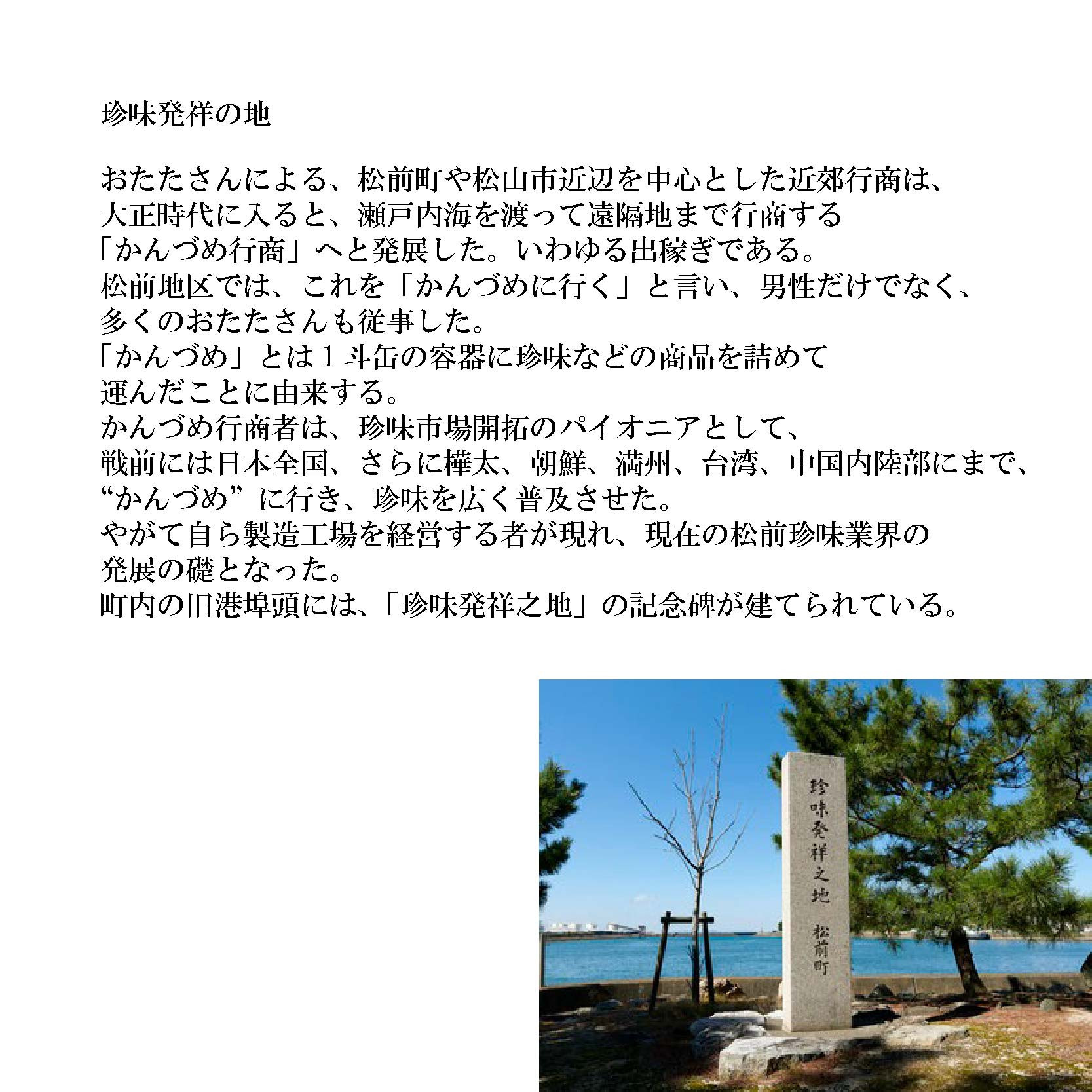 ピリ辛焼えいひれ 5袋セット おつまみ 珍味 ピリ辛 ソフト 酒の肴 ビール 日本酒 家飲み 愛媛県 松前町