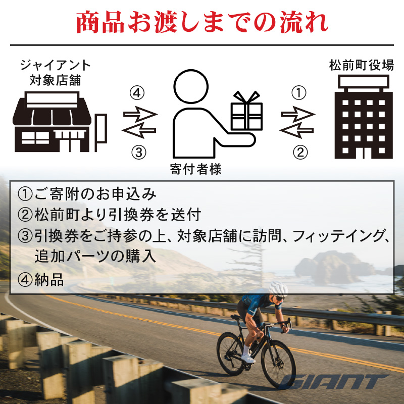 【フレームのみ】GIANT PROPEL ADVANCED SL FRAMESET（カラー：Holy Flare）｜  ジャイアント ロードバイク 自転車 レース カーボン 東レ