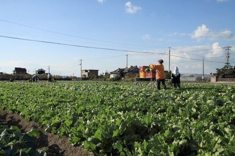豢サ蜉帙≠縺オ繧後k縺ォ縺弱o縺縺・縺上j