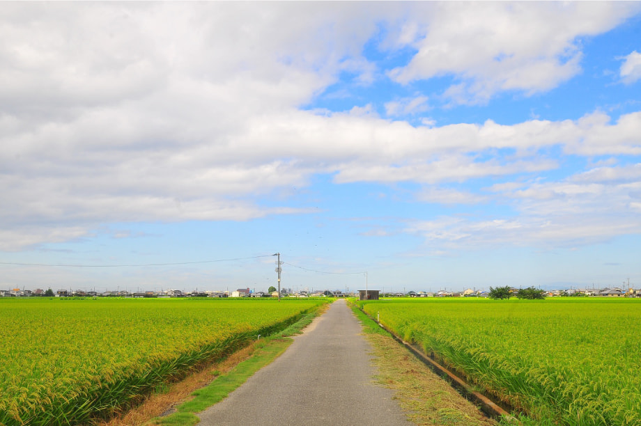逕コ髟キ縺翫∪縺九○縺ョ縺セ縺。縺・縺上j