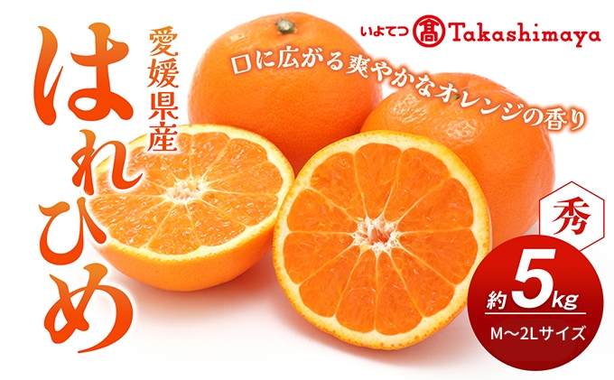 【数量限定 先行予約】愛媛県産 はれひめ 約5kg[50R0813] 【高島屋選定品】M～2L サイズ＜ギフト 甘味 濃厚 みかん フルーツ＞