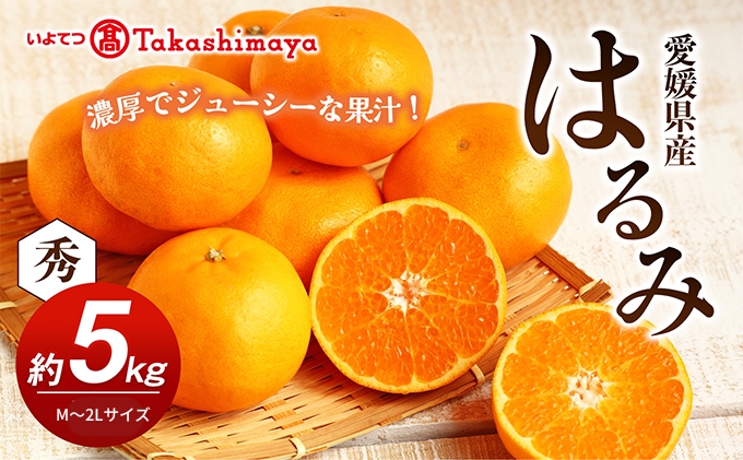 【数量限定 先行予約】愛媛県産 はるみ 約5kg[50R0824] 【高島屋選定品】秀M～２Lサイズ 1月下旬頃～順次発送＜ギフト 高級 甘い みかん フルーツ＞ [No.5310-0044]