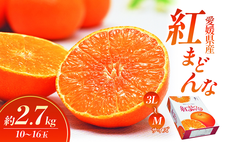 【数量限定 先行予約】愛媛県産 紅まどんな2.7kg[50R0986]【高島屋選定品】青秀 M～３Lサイズ（10～16玉）12月上旬頃～順次発送 ＜ギフト 正規品 甘い みかん フルーツ＞