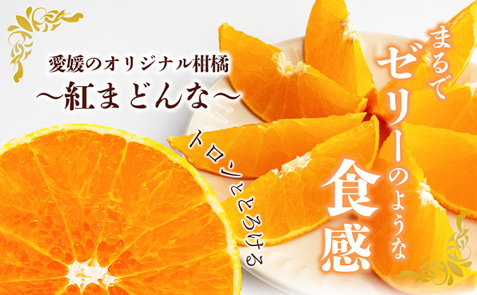 【数量限定 先行予約】愛媛県産紅まどんな（赤秀限定）2.7kg[50R0975] 【高島屋選定品】 赤秀L～3Lサイズ（10～15玉） 11月下旬頃～順次発送 ＜ギフト 正規品 甘い みかん フルーツ＞