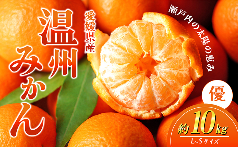 愛媛県産JA正規品 温州みかん【優】約10Kg L～Sサイズ（2024年11月～順次発送）【旬 甘い みかん 蜜柑 柑橘 かんきつ 高級 先行予約】　 果物類 フルーツ 果皮 食べやすい 美味しい　 