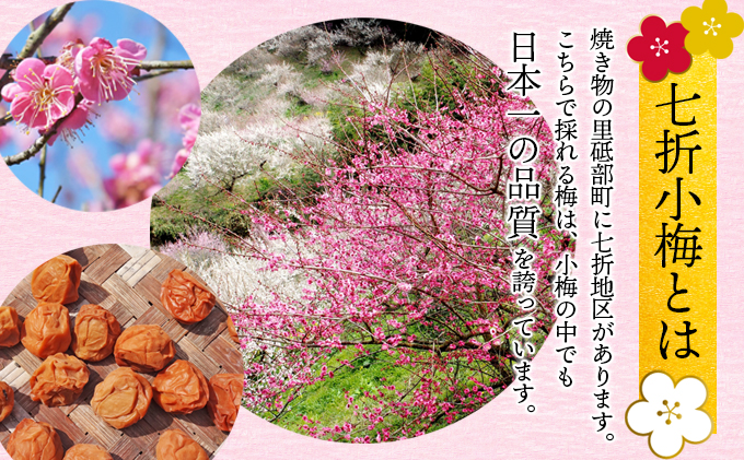 七折小梅の梅シロップ 500ml×2本入り【砥部町 七折 特産品 手摘み 小梅 うめ 梅ジュース カクテル 炭酸 ゼリー かき氷 無添加 化粧箱 贈答】 加工食品 