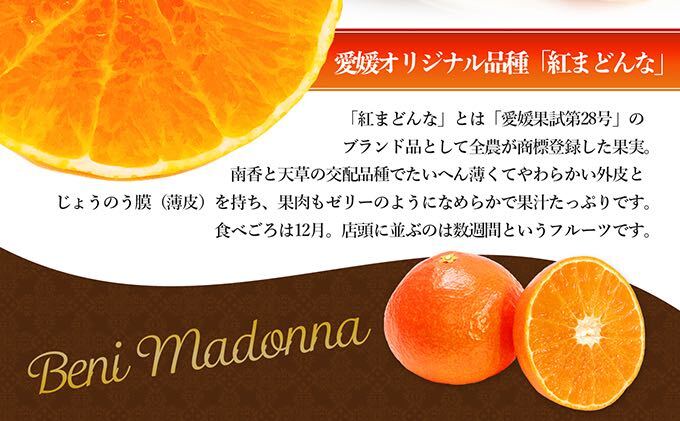 【数量限定 先行予約】愛媛県産紅まどんな（赤秀限定）2.7kg[50R0975] 【高島屋選定品】 赤秀L～3Lサイズ（10～15玉） 11月下旬頃～順次発送 ＜ギフト 正規品 甘い みかん フルーツ＞
