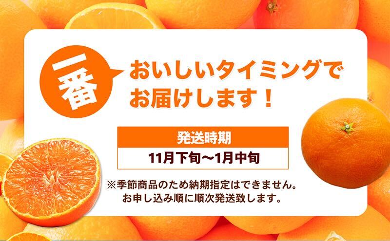【数量限定 先行予約】愛媛県産紅まどんな（赤秀限定）2.7kg[50R0975] 【高島屋選定品】 赤秀L～3Lサイズ（10～15玉） 11月下旬頃～順次発送 ＜ギフト 正規品 甘い みかん フルーツ＞